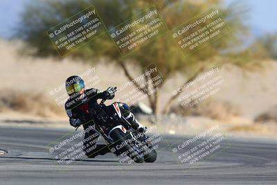 media/Jan-14-2024-SoCal Trackdays (Sun) [[2e55ec21a6]]/Turn 4 Tree of Life (155pm)/